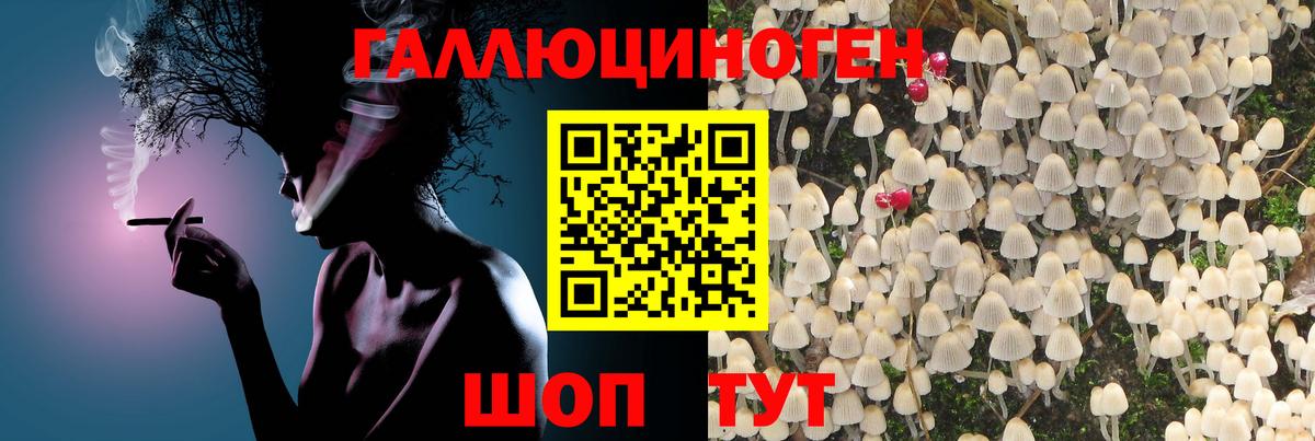 Псилоцибиновые грибы Cubensis Орёл